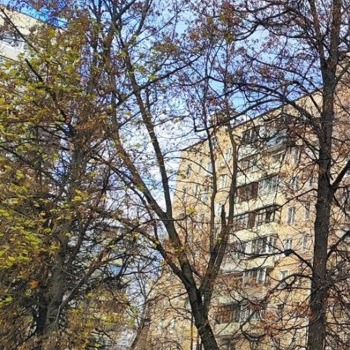 Студия Ленинградское шоссе, 9К2