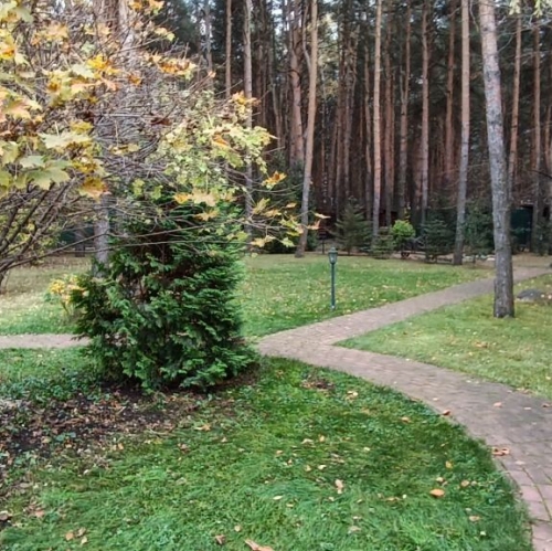 Коттедж/дом Щёлково, Липовая улица