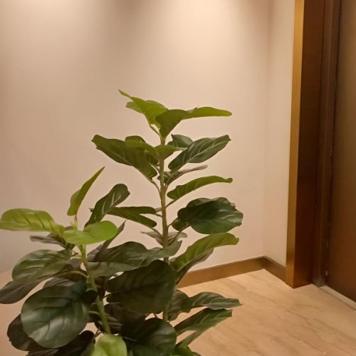 3-комн квартира Таманская улица, 1С3