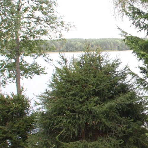 Коттедж/дом Гармония СНТ