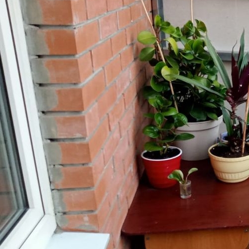 2-комн квартира Видное, улица Березовая, 3