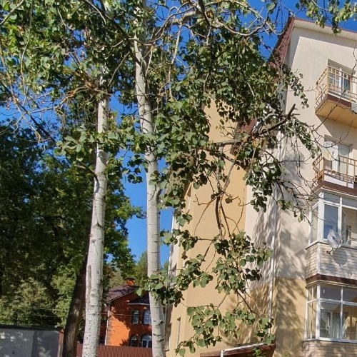 1-комн квартира д. Бородино, шоссе Варшавское, 80