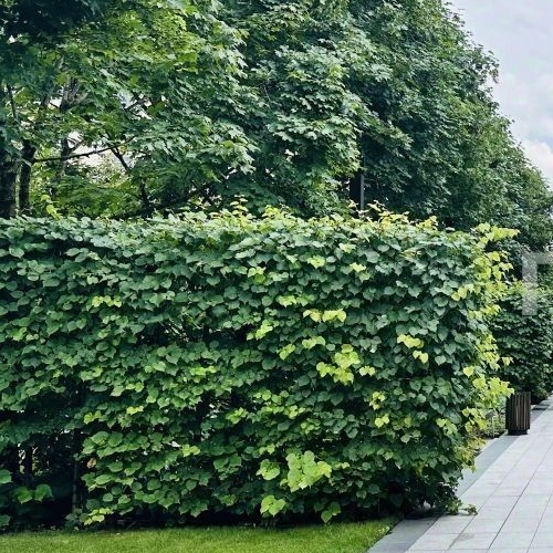 6-комн квартира улица Ефремова, 19к2