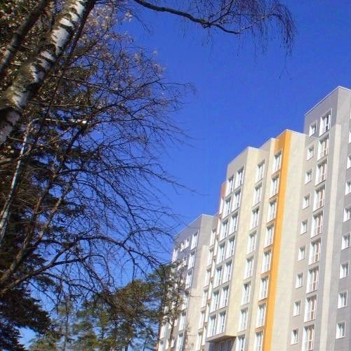 Студия Ивантеевка, Заводская улица,  д. 12А