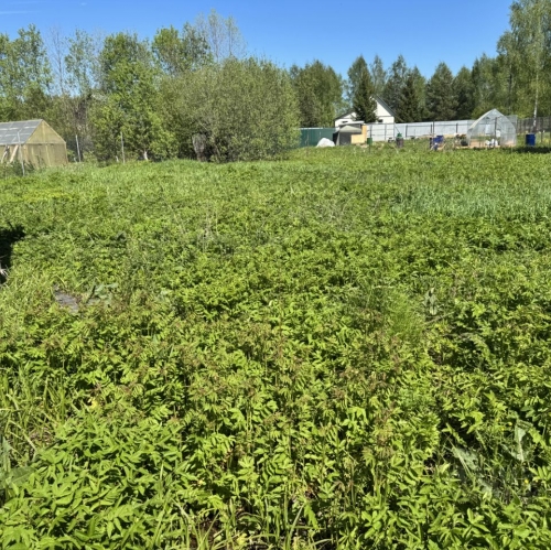 Коттедж/дом Колосово, 46Н-03873