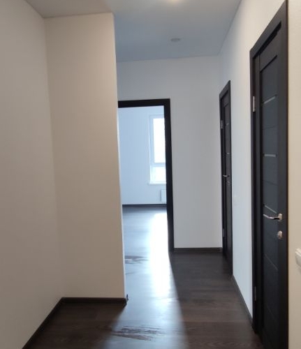 2-комн квартира Муравская улица, 46к2