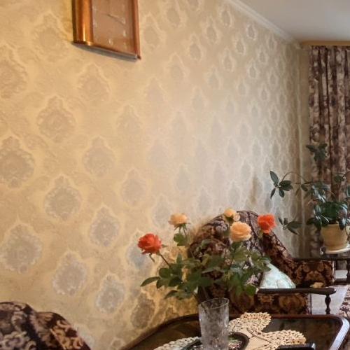 2-комн квартира Калининец пгт, 243