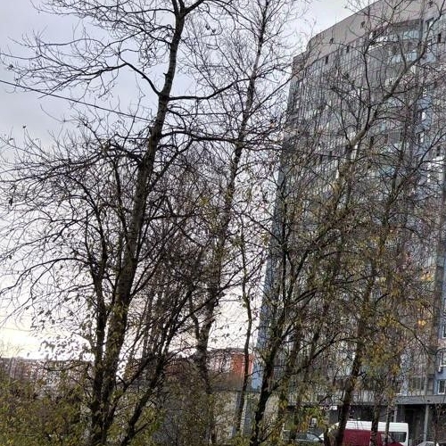 Студия Лобня, улица Колычева, 1