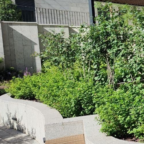 3-комн квартира Тессинский переулок, 1