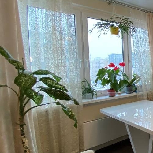 2-комн квартира Железнодорожный мкр, Балашиха, улица Корнилаева,  д. 18