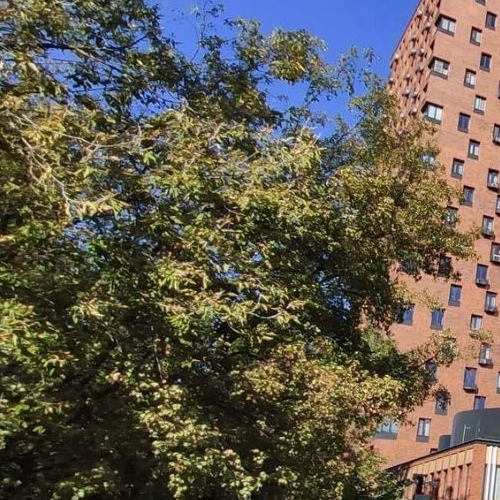 Студия шоссе Энтузиастов, 86Ак3