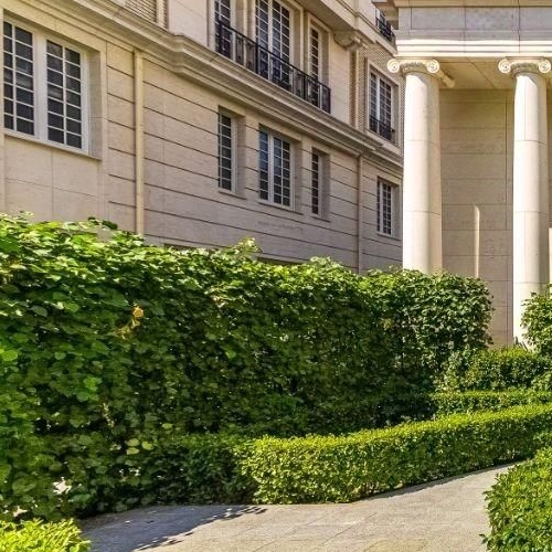 5-комн квартира улица Ефремова, 19к1