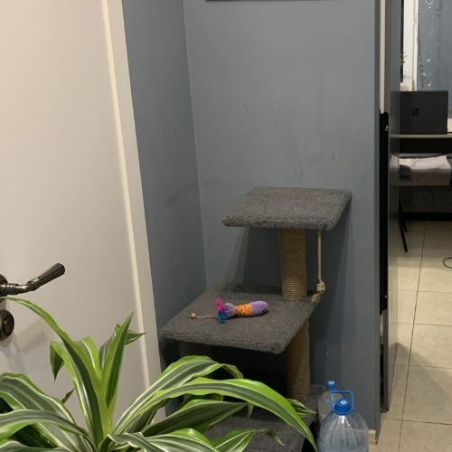 1-комн квартира пос. Ильинское-Усово, улица Заповедная, 1