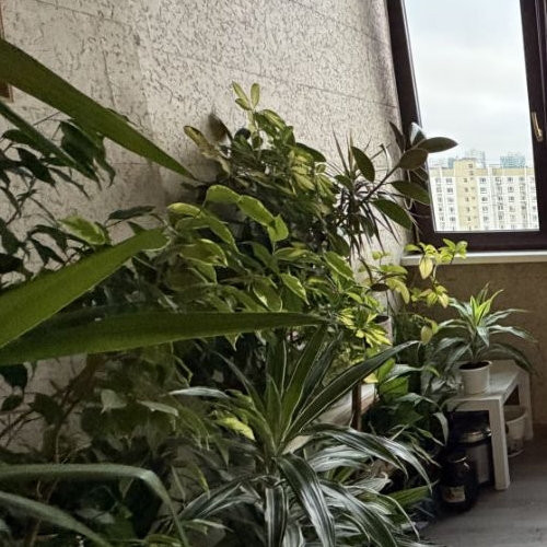 4-комн квартира Новочеремушкинская улица, 44К3