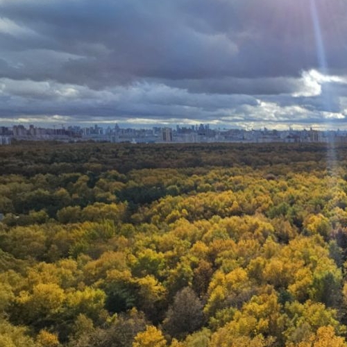 1-комн квартира Химки, улица Бабакина, 15