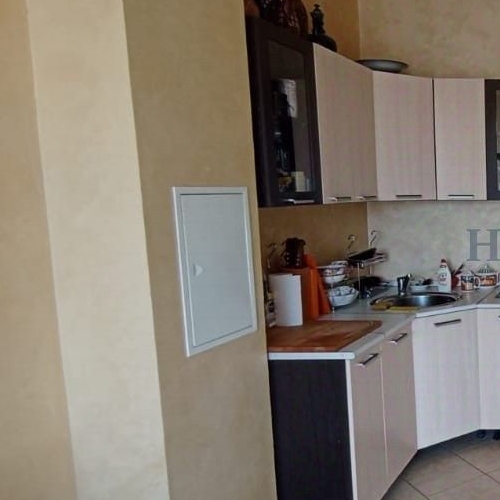 1-комн квартира Международный кв-л, Клязьма-Старбеево мкр, улица Береговая, 10