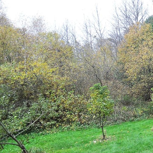 Студия Витро Вилладж База отдыха, к6