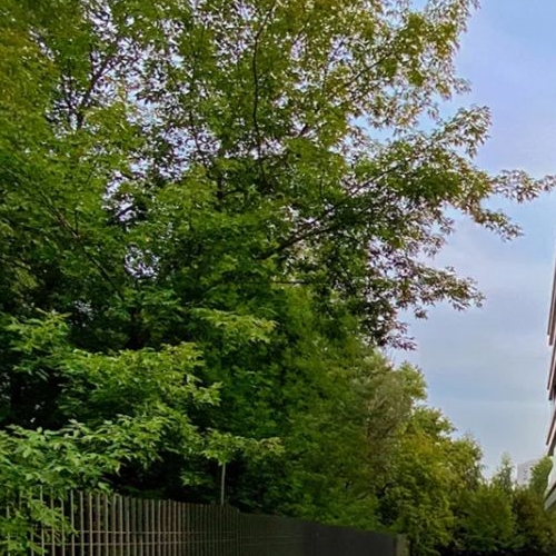 2-комн квартира Минская улица, 2Вк4