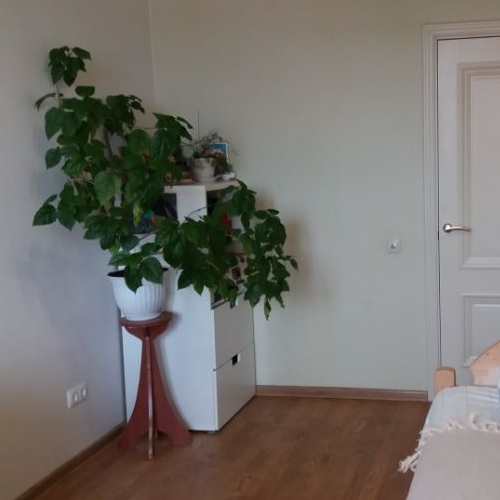 2-комн квартира Раменское, улица Молодежная, 27