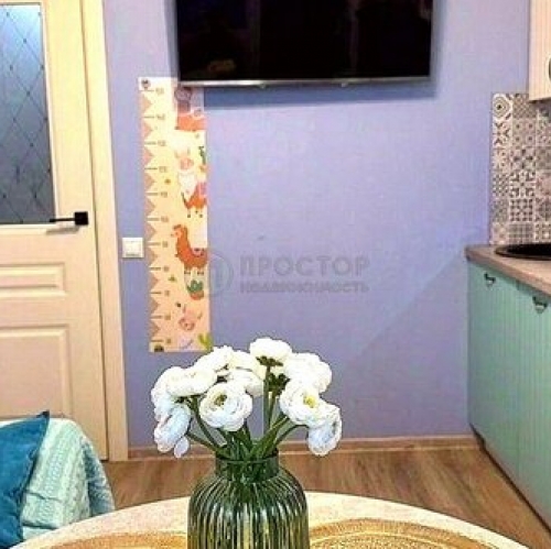 1-комн квартира ул Бачуринская,  д. 4/3