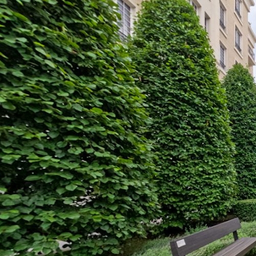 4-комн квартира улица Ефремова, 19к1