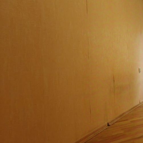 Студия Зеленый проспект, 50