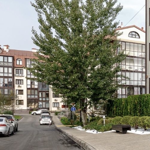 5-комн квартира с. Ромашково, улица Никольская, 2к3