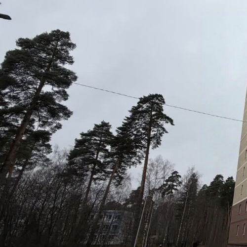 2-комн квартира Красноармейск, улица Новая Жизнь,  д. 8