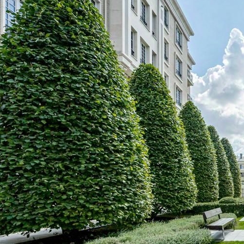 3-комн квартира улица Ефремова, 19к1