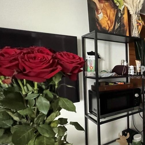 1-комн квартира улица Новый Арбат, 15