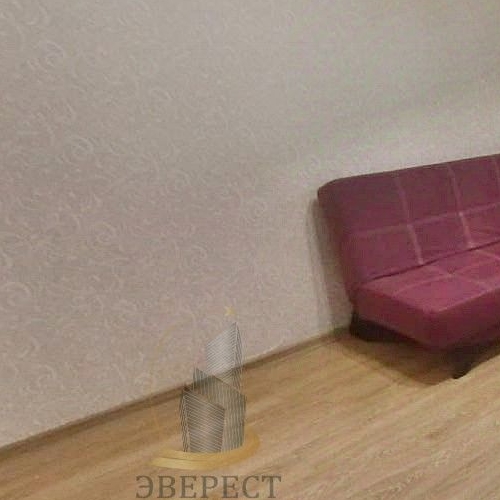 1-комн квартира Пушкино, улица Чехова, 1к3