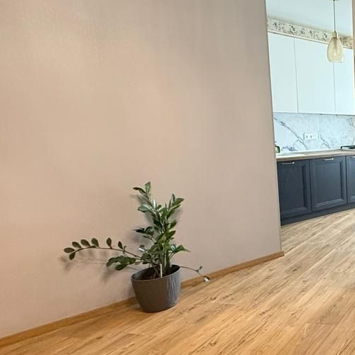 3-комн квартира Сампо ЖК, д. Красный Поселок, улица Фадеева,  д. 21