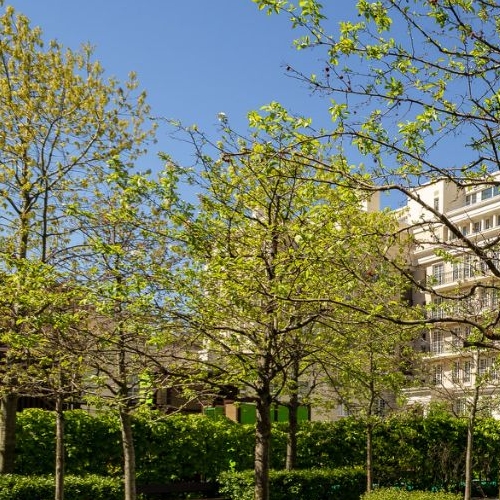 3-комн квартира улица Ефремова, 19к3