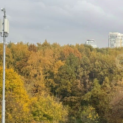 Студия улица Академика Павлова, 38к1