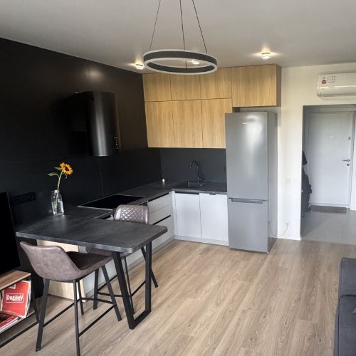 Студия улица Академика Павлова, 56к1