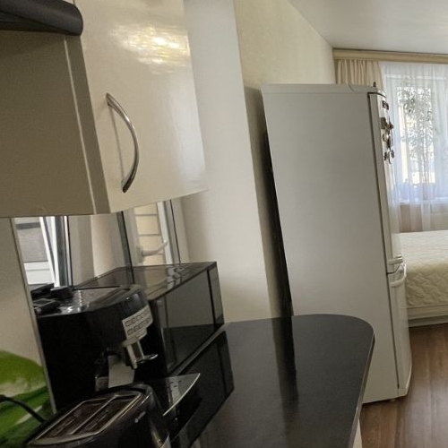 Студия Северный кв-л, д. Сапроново, Купелинка мкр, 21