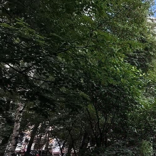 Студия Чапаевский переулок, 12к4