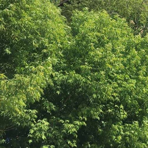 Студия улица 2-я Энтузиастов, 5к39