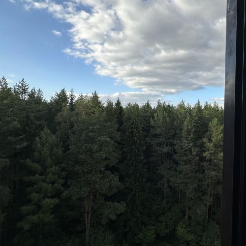 2-комн квартира Высокие Жаворонки ЖК, д. Малые Вяземы,  д. 3