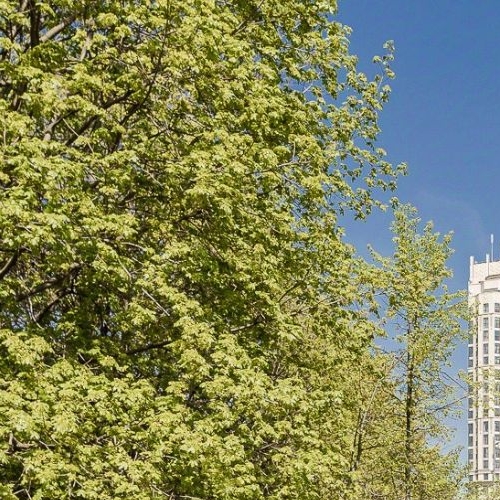 2-комн квартира Нежинская улица, 3А