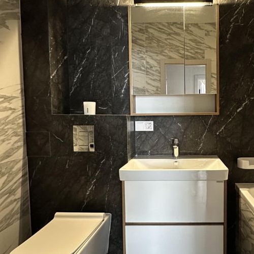 2-комн квартира Сампо ЖК, д. Красный Поселок, улица Фадеева,  д. 4