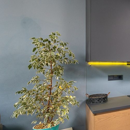 2-комн квартира улица Татьянин Парк, 14к4