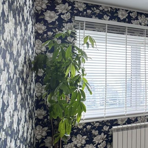 2-комн квартира Финский мкр, Щелково,  д. 11