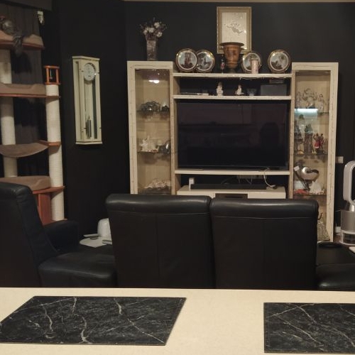 5-комн квартира проспект Вернадского, 94к1