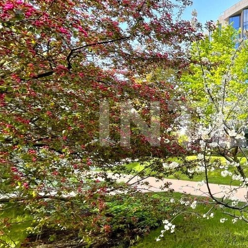 4-комн квартира Заречье пгт, улица Весенняя, 2к1