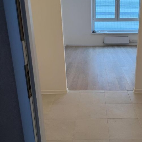 Студия улица Александры Монаховой, 91к1