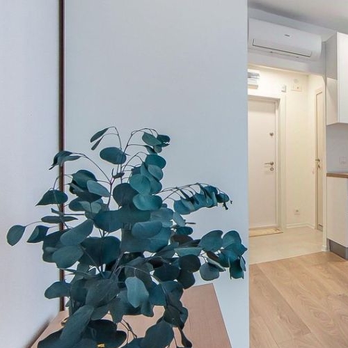 Студия улица Академика Павлова, 56к1