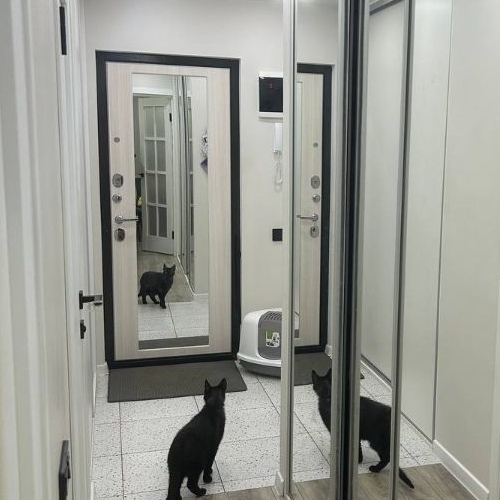 1-комн квартира Дубна, Тверская улица, 15