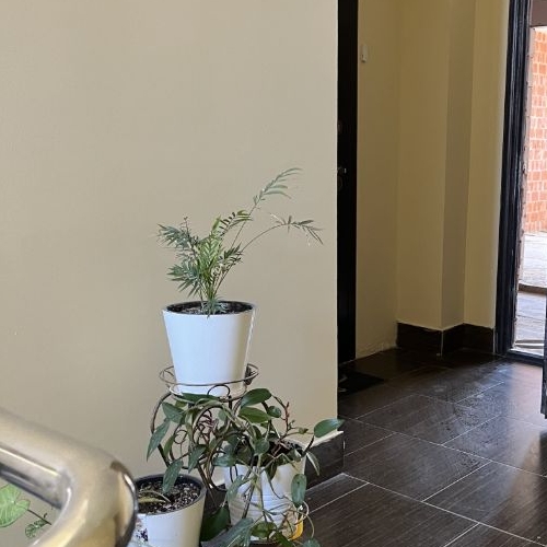 1-комн квартира аллея Буковая, 8