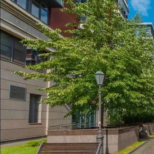 4-комн квартира Большая Татарская улица, 7к4